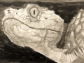 File_019