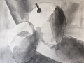 IMG-2498