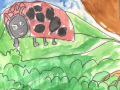 File_006
